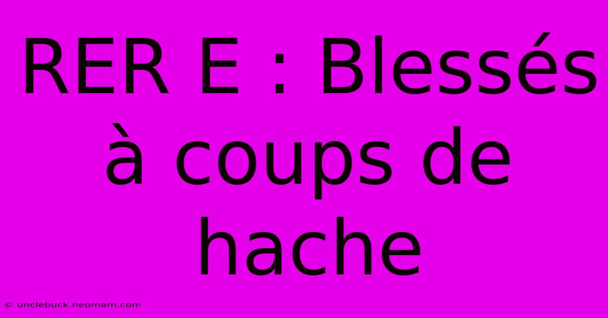 RER E : Blessés À Coups De Hache 