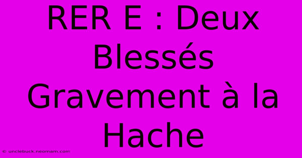 RER E : Deux Blessés Gravement À La Hache