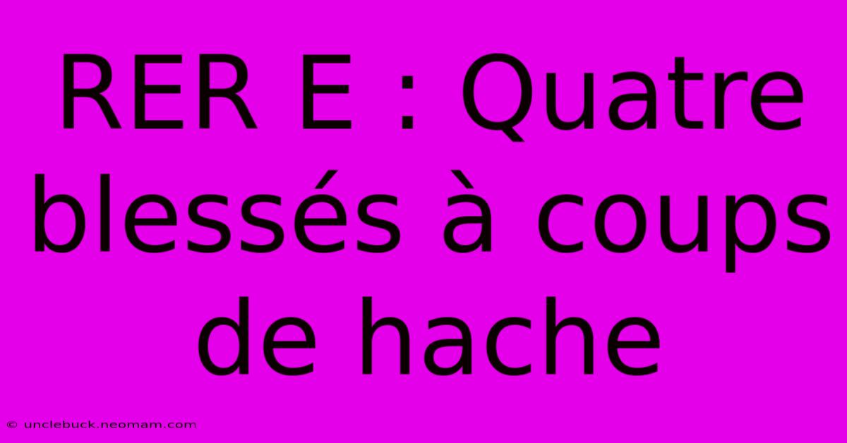 RER E : Quatre Blessés À Coups De Hache