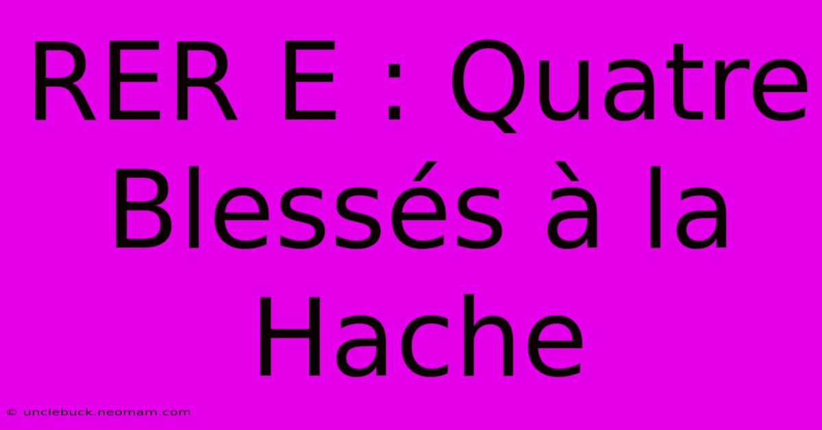 RER E : Quatre Blessés À La Hache