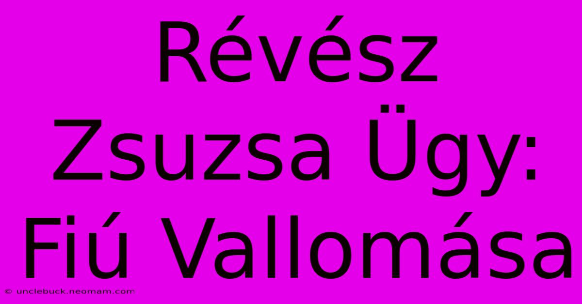 Révész Zsuzsa Ügy: Fiú Vallomása