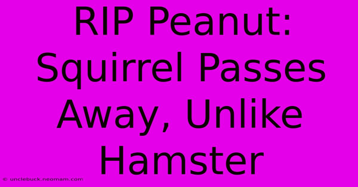 RIP Peanut: Squirrel Passes Away, Unlike Hamster