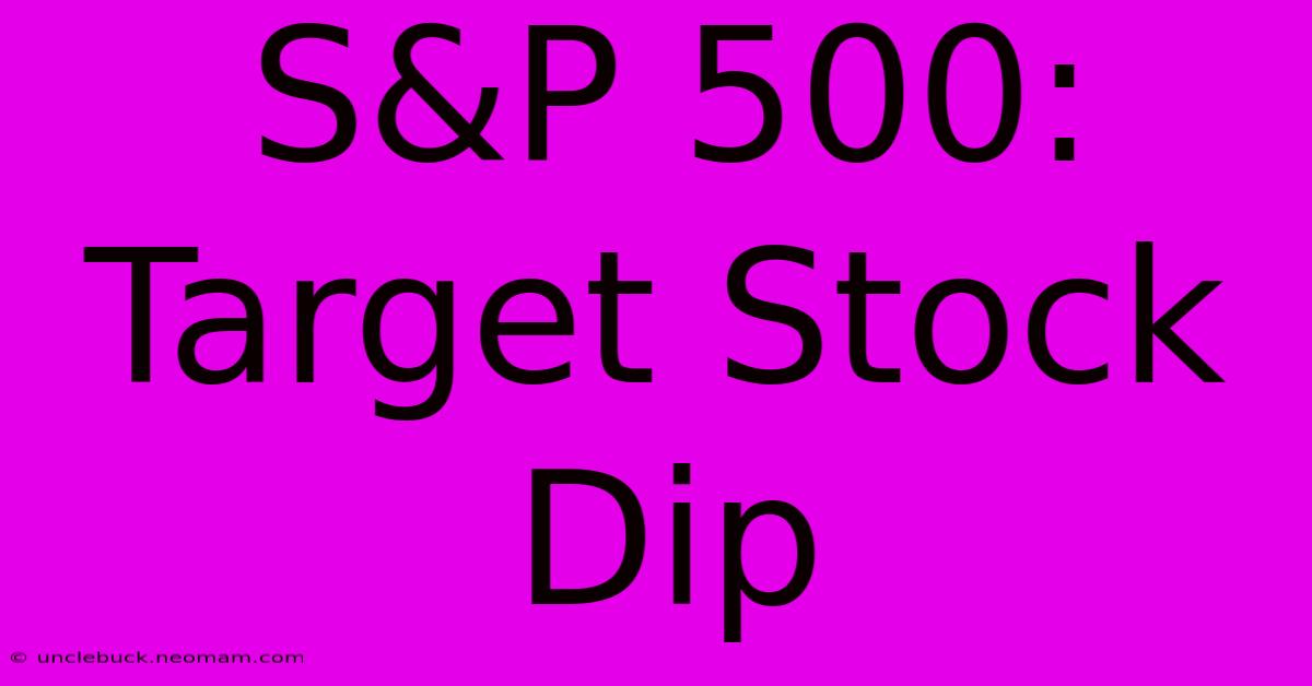 S&P 500: Target Stock Dip