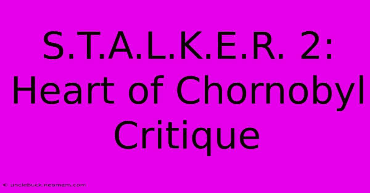 S.T.A.L.K.E.R. 2: Heart Of Chornobyl Critique