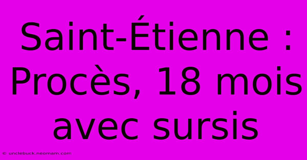 Saint-Étienne : Procès, 18 Mois Avec Sursis