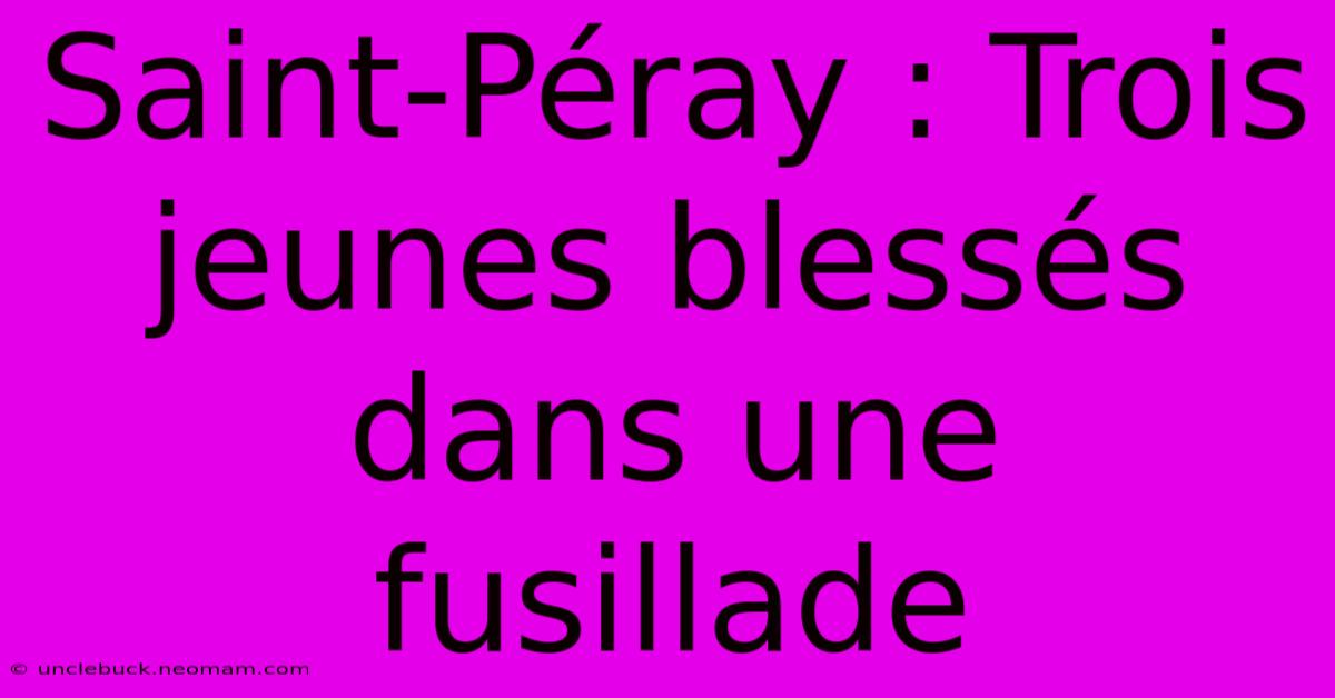 Saint-Péray : Trois Jeunes Blessés Dans Une Fusillade