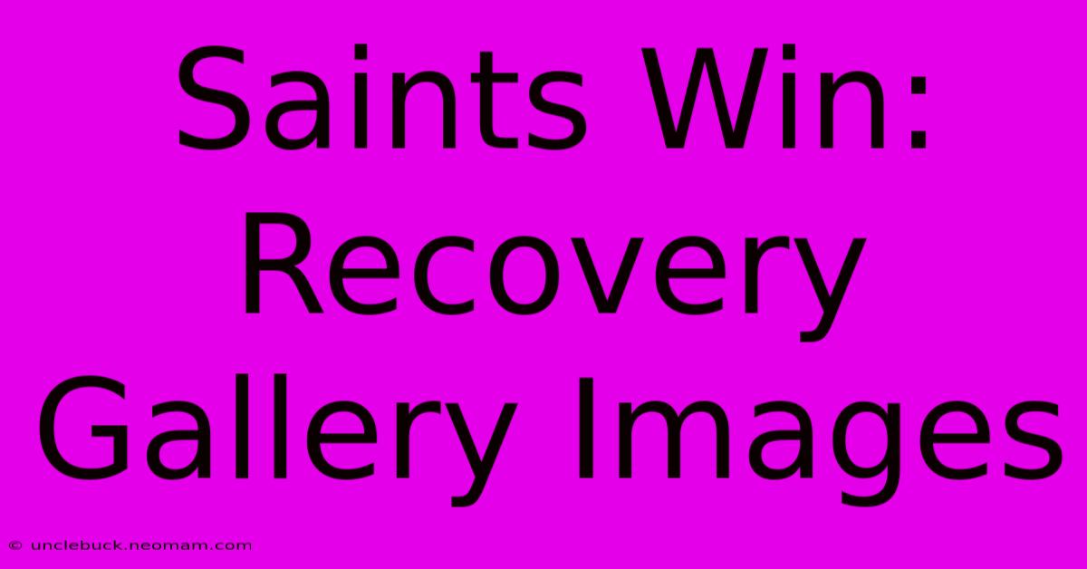 Saints Win: Recovery Gallery Images 