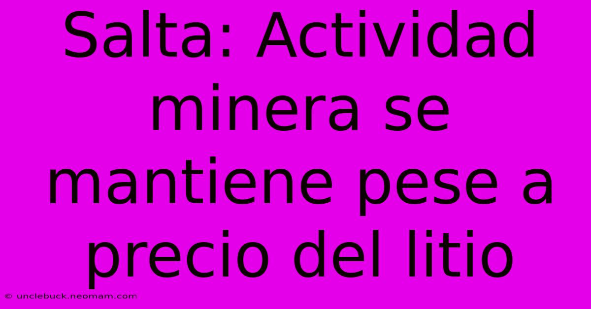 Salta: Actividad Minera Se Mantiene Pese A Precio Del Litio