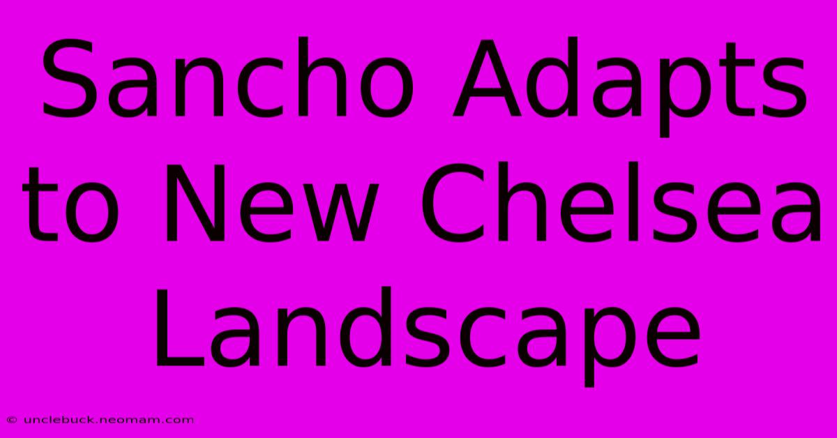 Sancho Adapts To New Chelsea Landscape