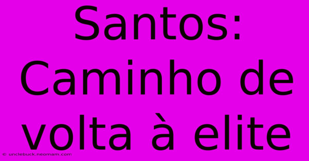 Santos: Caminho De Volta À Elite 