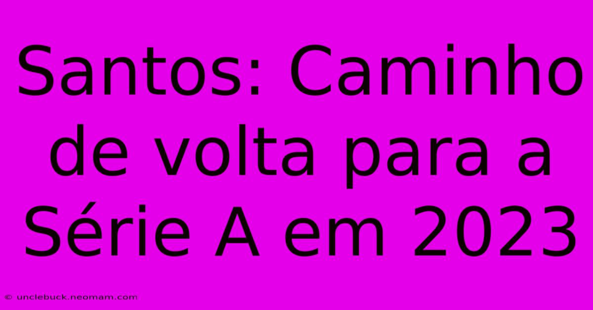 Santos: Caminho De Volta Para A Série A Em 2023 