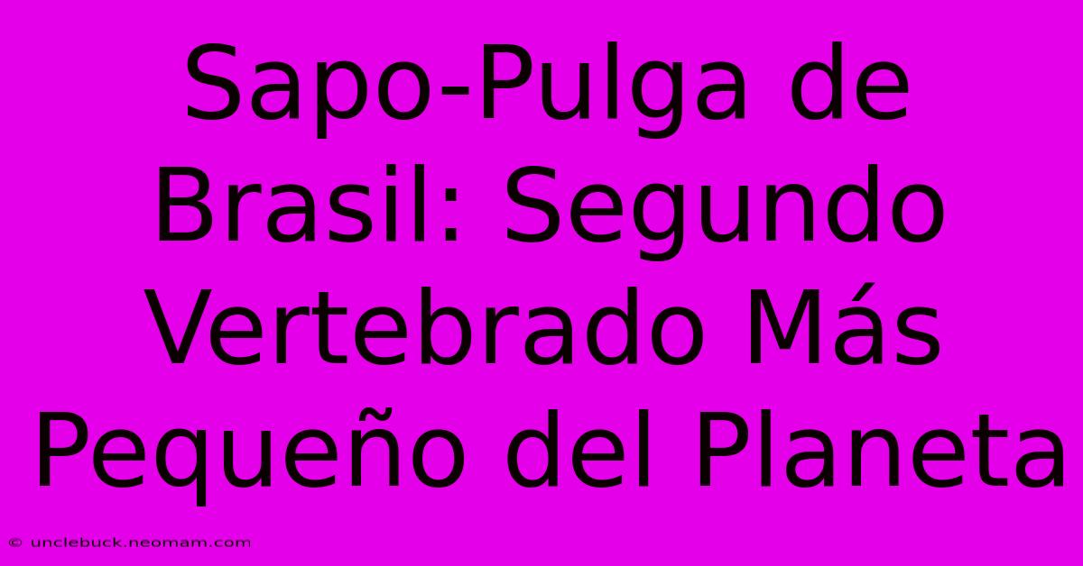 Sapo-Pulga De Brasil: Segundo Vertebrado Más Pequeño Del Planeta