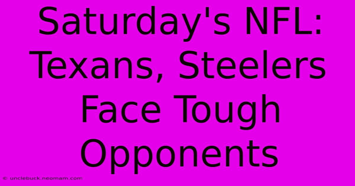 Saturday's NFL:  Texans, Steelers Face Tough Opponents