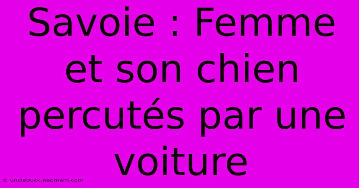 Savoie : Femme Et Son Chien Percutés Par Une Voiture