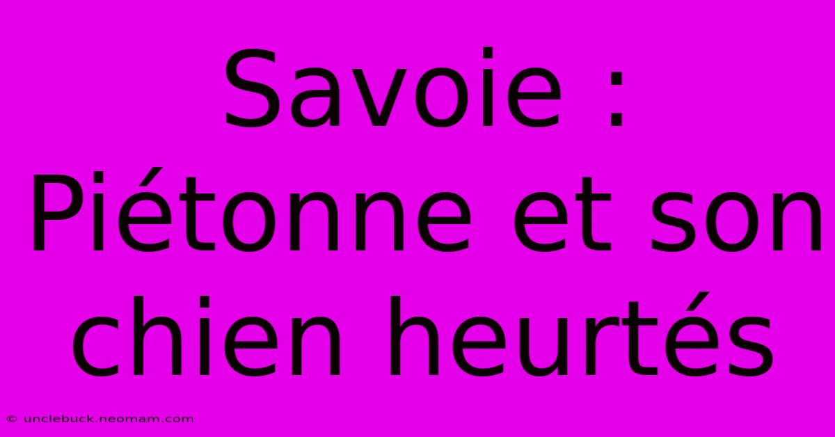 Savoie : Piétonne Et Son Chien Heurtés