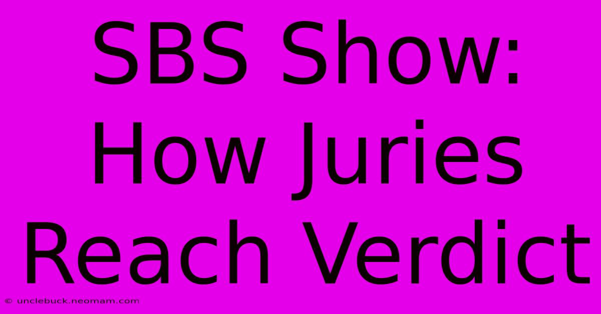 SBS Show:  How Juries Reach Verdict 