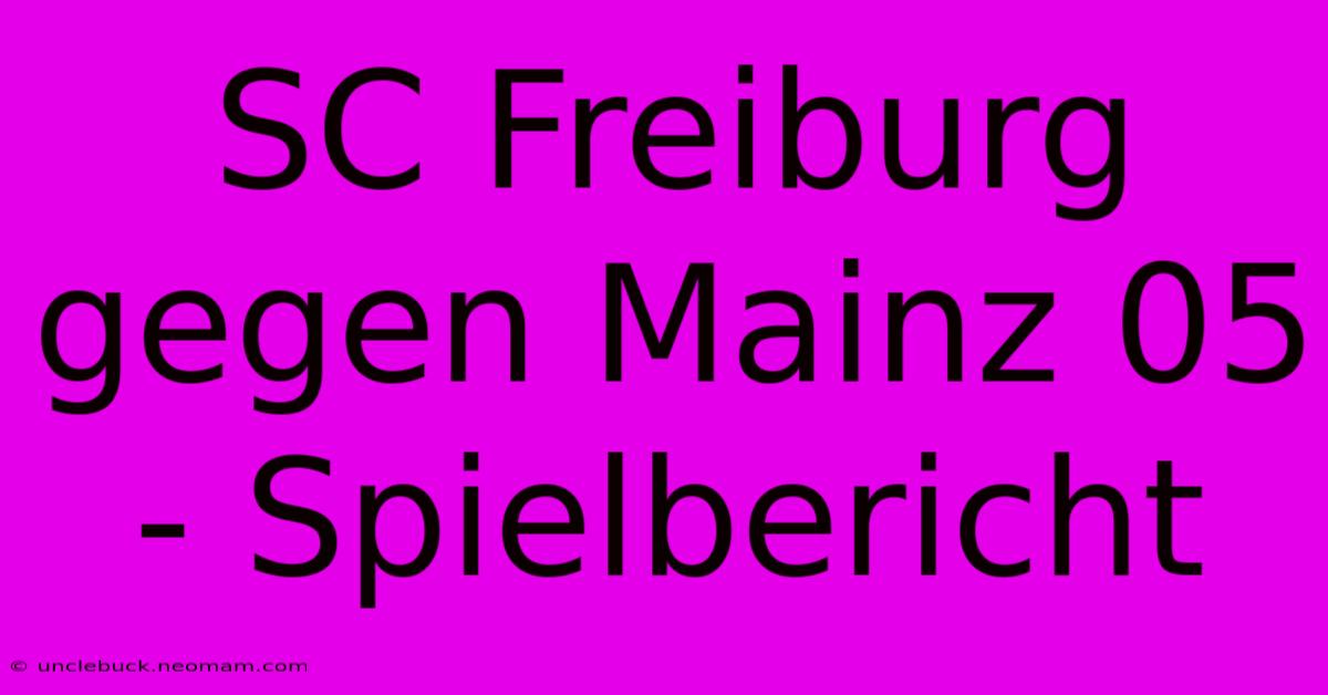 SC Freiburg Gegen Mainz 05 - Spielbericht