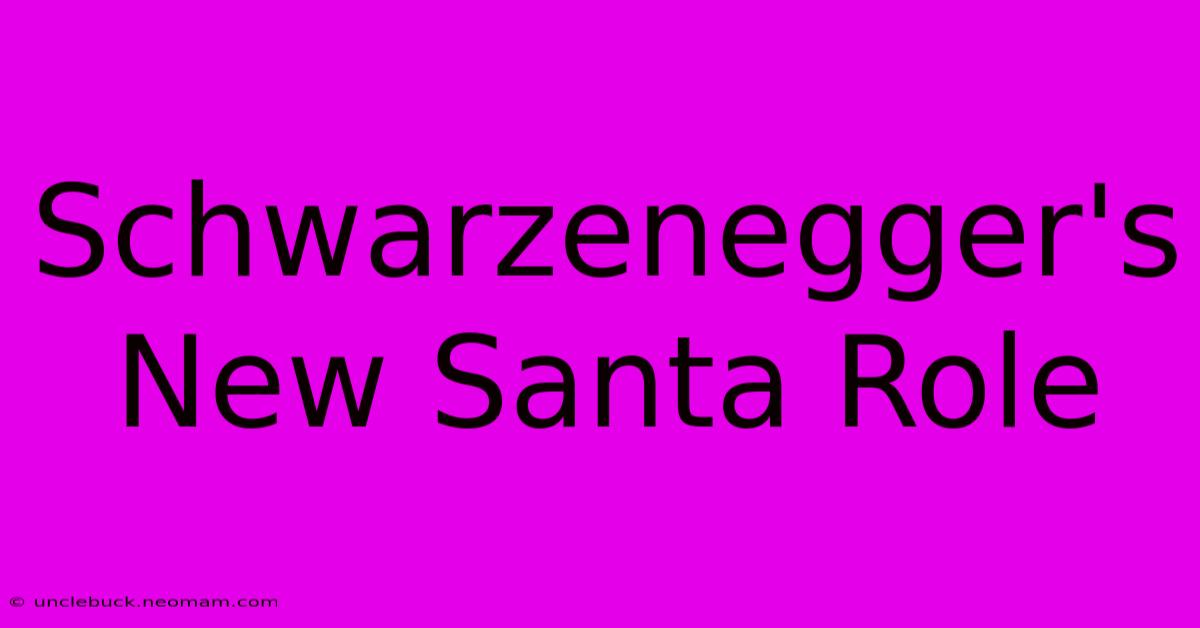 Schwarzenegger's New Santa Role