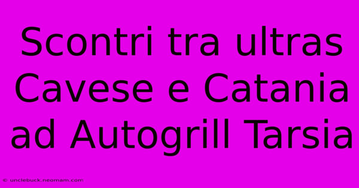 Scontri Tra Ultras Cavese E Catania Ad Autogrill Tarsia