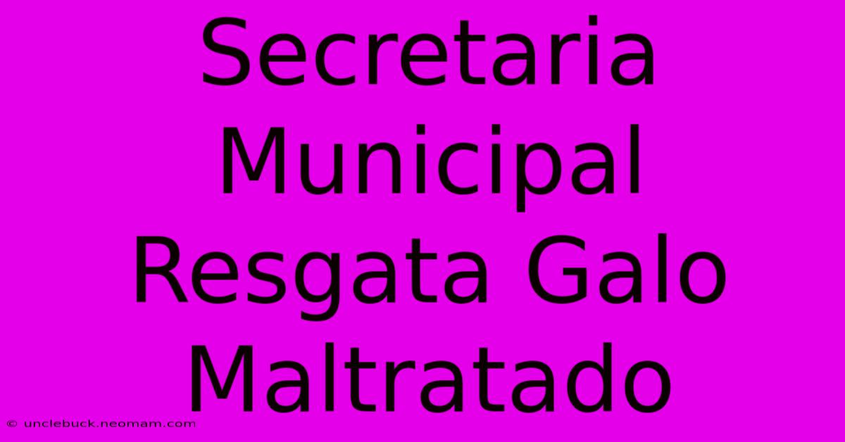 Secretaria Municipal Resgata Galo Maltratado 