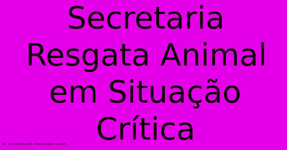 Secretaria Resgata Animal Em Situação Crítica