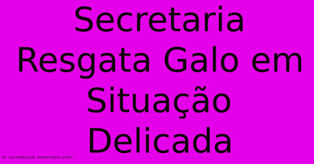 Secretaria Resgata Galo Em Situação Delicada