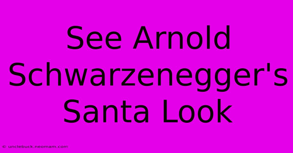 See Arnold Schwarzenegger's Santa Look