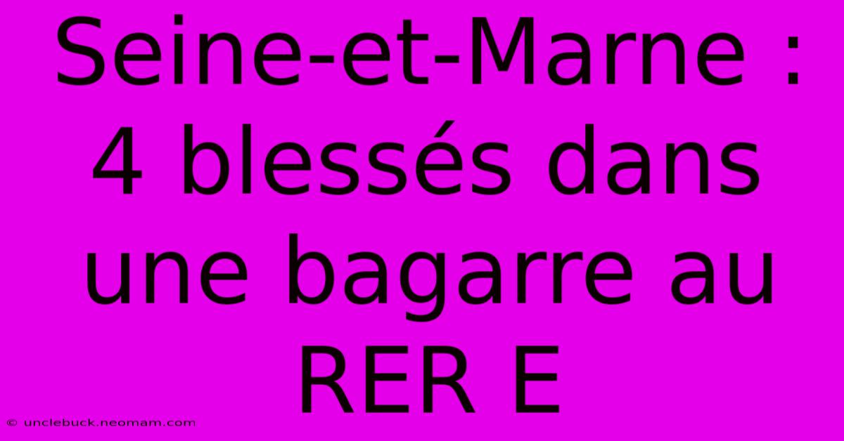 Seine-et-Marne : 4 Blessés Dans Une Bagarre Au RER E