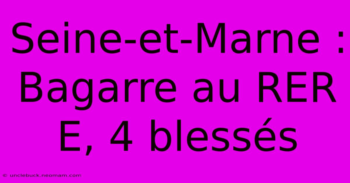 Seine-et-Marne : Bagarre Au RER E, 4 Blessés