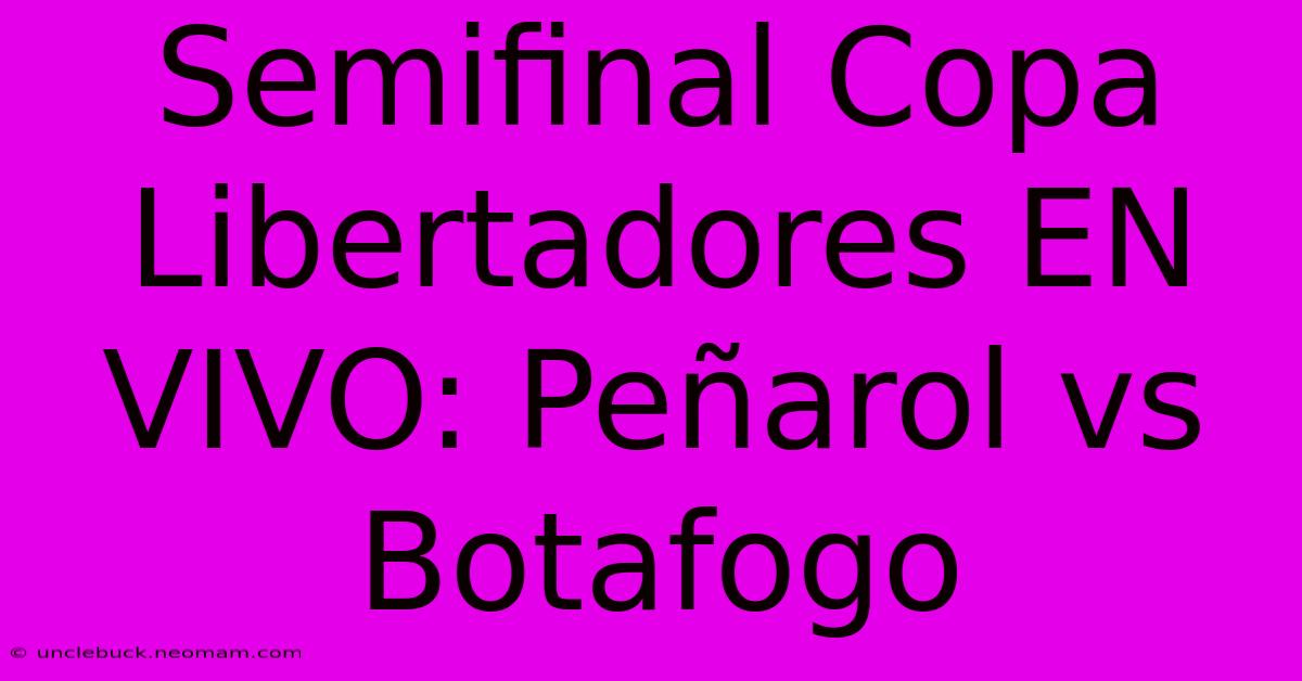 Semifinal Copa Libertadores EN VIVO: Peñarol Vs Botafogo