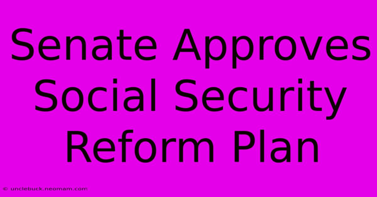 Senate Approves Social Security Reform Plan