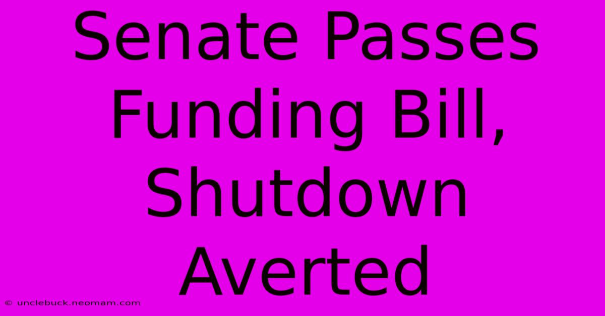 Senate Passes Funding Bill, Shutdown Averted