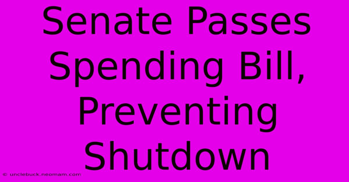 Senate Passes Spending Bill, Preventing Shutdown