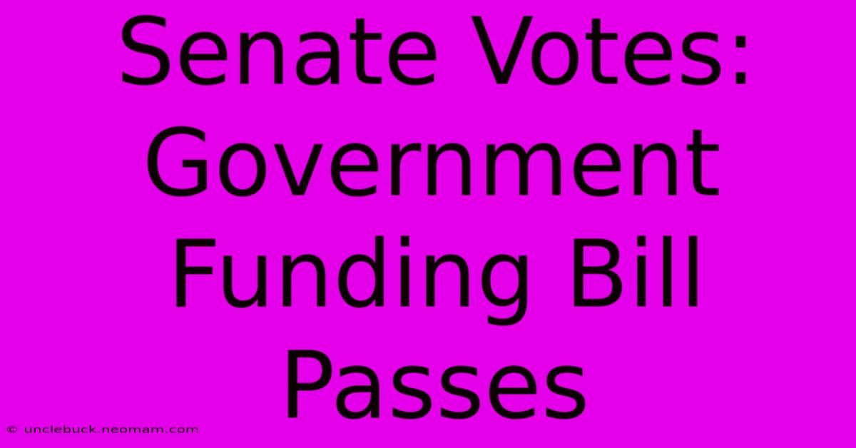 Senate Votes: Government Funding Bill Passes