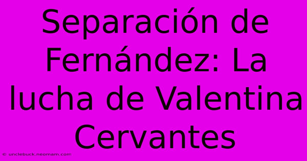 Separación De Fernández: La Lucha De Valentina Cervantes 