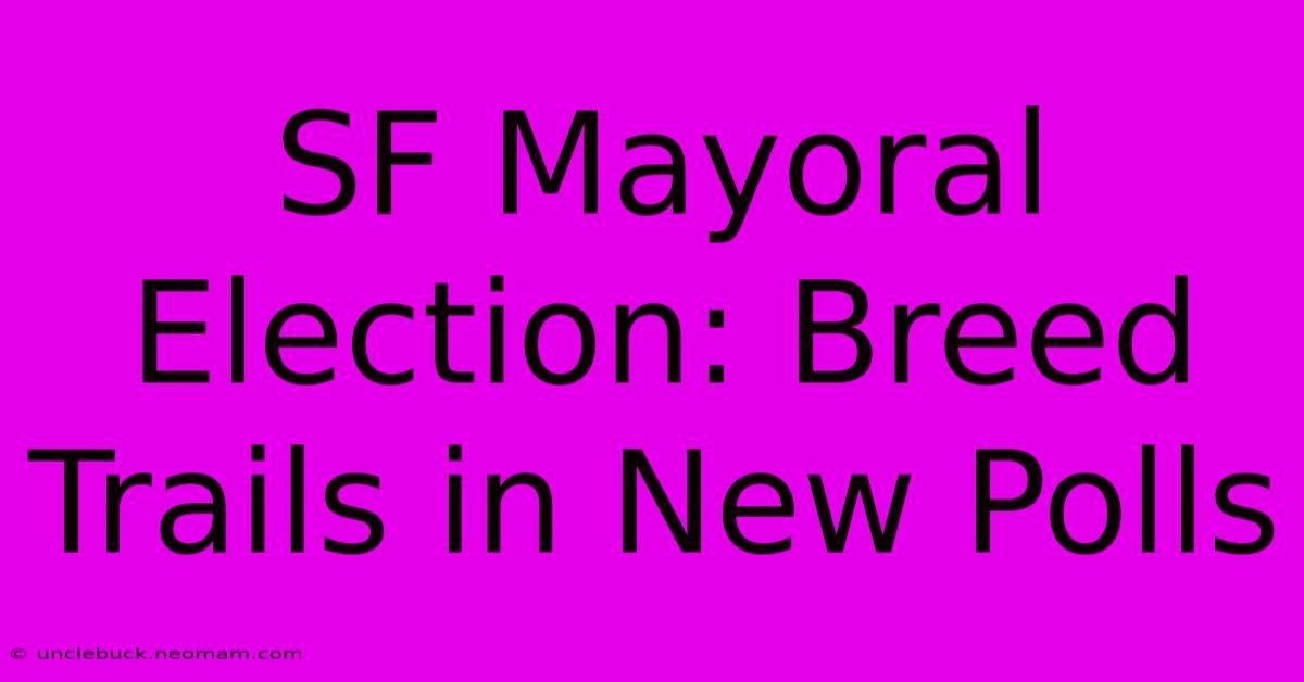 SF Mayoral Election: Breed Trails In New Polls 