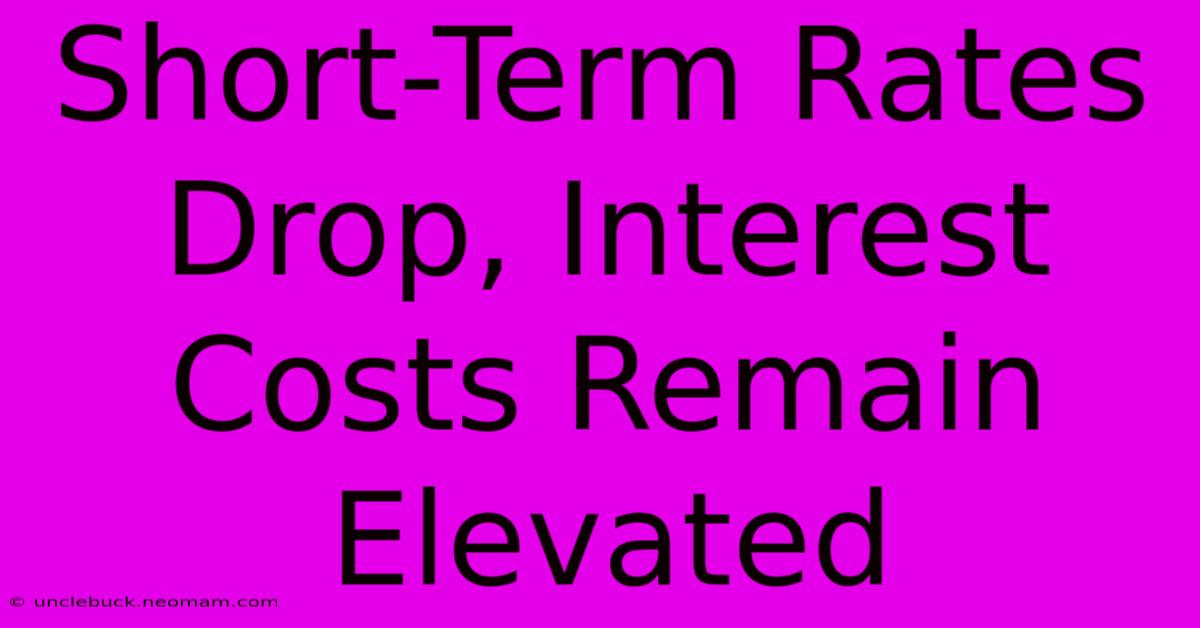 Short-Term Rates Drop, Interest Costs Remain Elevated 