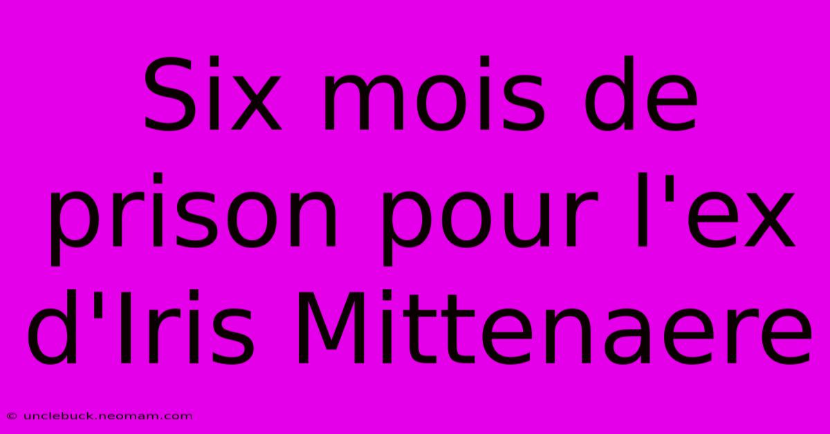 Six Mois De Prison Pour L'ex D'Iris Mittenaere