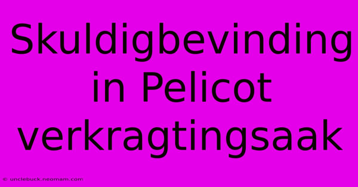 Skuldigbevinding In Pelicot Verkragtingsaak