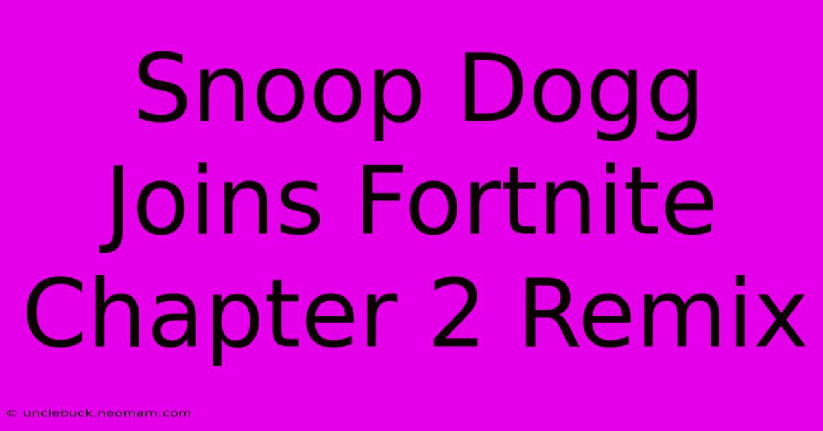 Snoop Dogg Joins Fortnite Chapter 2 Remix 