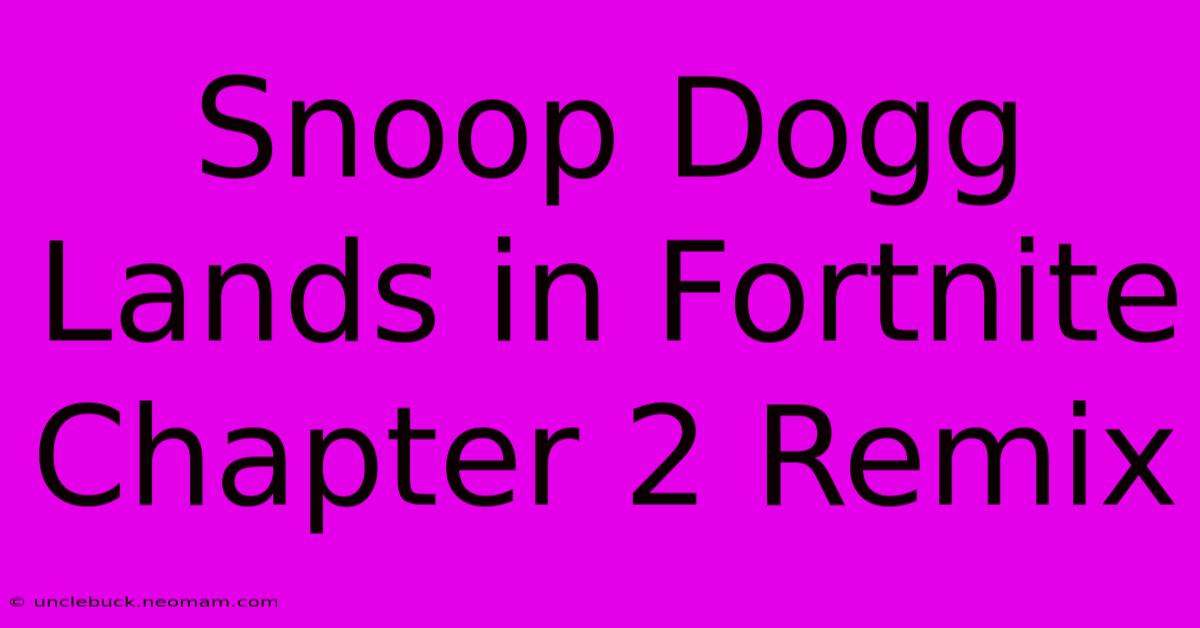 Snoop Dogg Lands In Fortnite Chapter 2 Remix