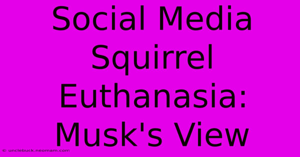 Social Media Squirrel Euthanasia: Musk's View