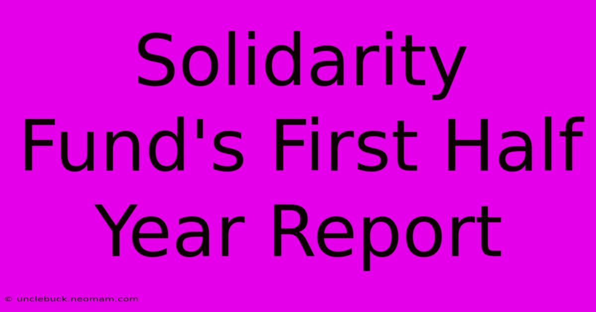 Solidarity Fund's First Half Year Report