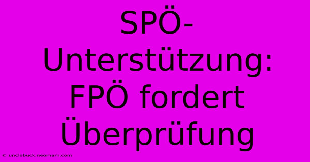 SPÖ-Unterstützung: FPÖ Fordert Überprüfung 