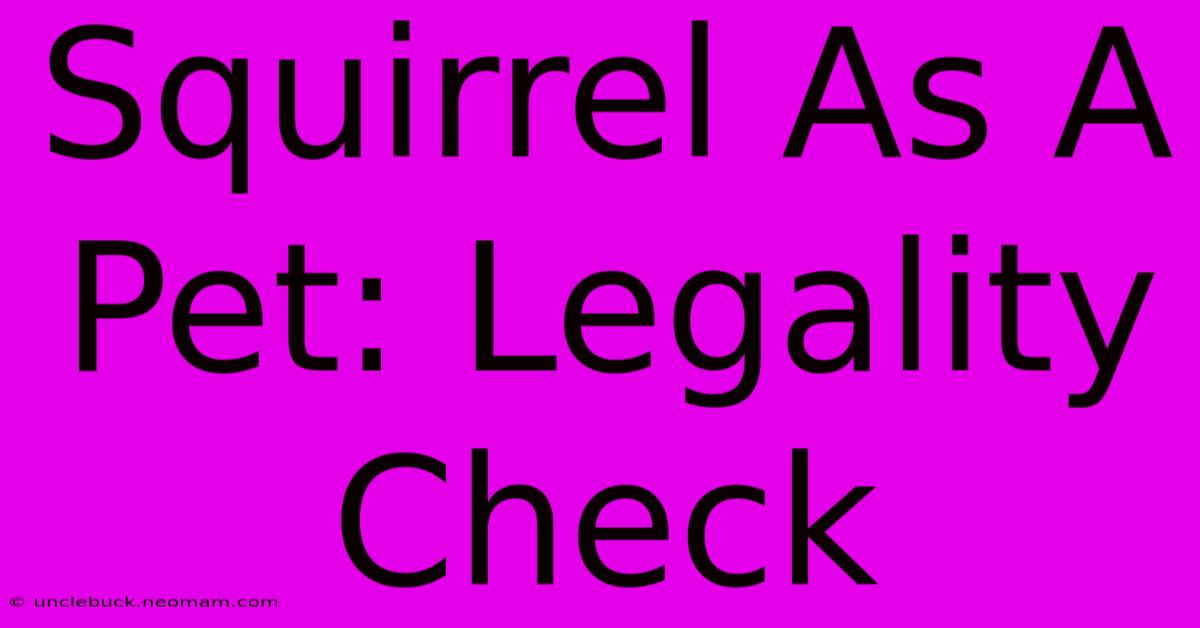 Squirrel As A Pet: Legality Check 