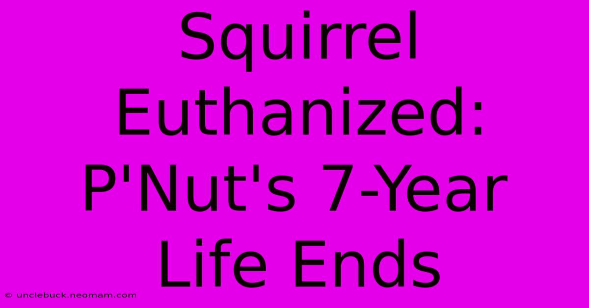 Squirrel Euthanized: P'Nut's 7-Year Life Ends