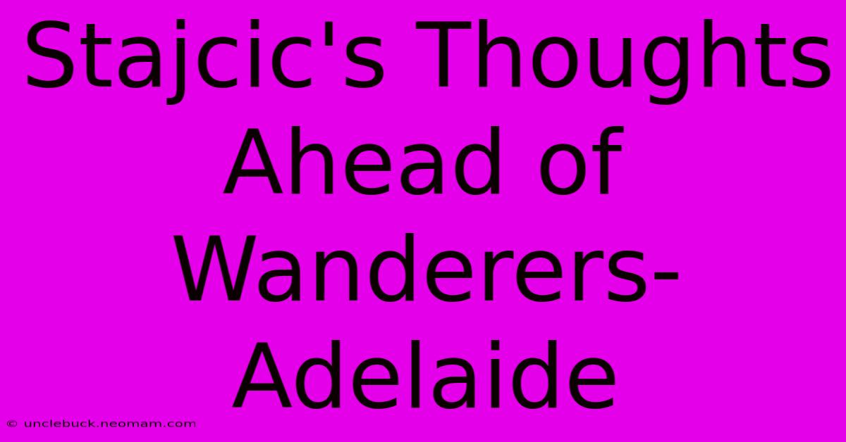 Stajcic's Thoughts Ahead Of Wanderers-Adelaide