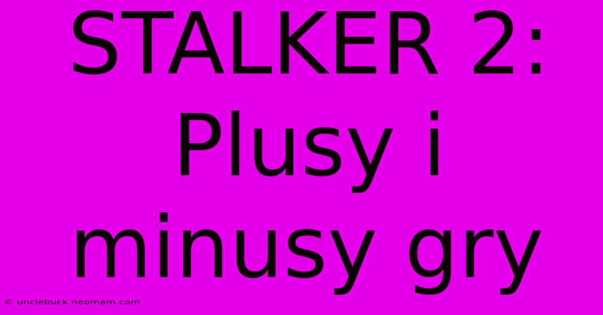 STALKER 2:  Plusy I Minusy Gry