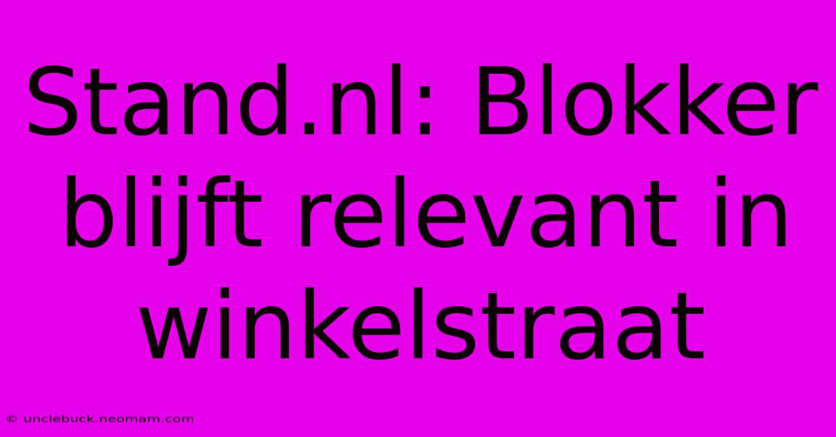 Stand.nl: Blokker Blijft Relevant In Winkelstraat