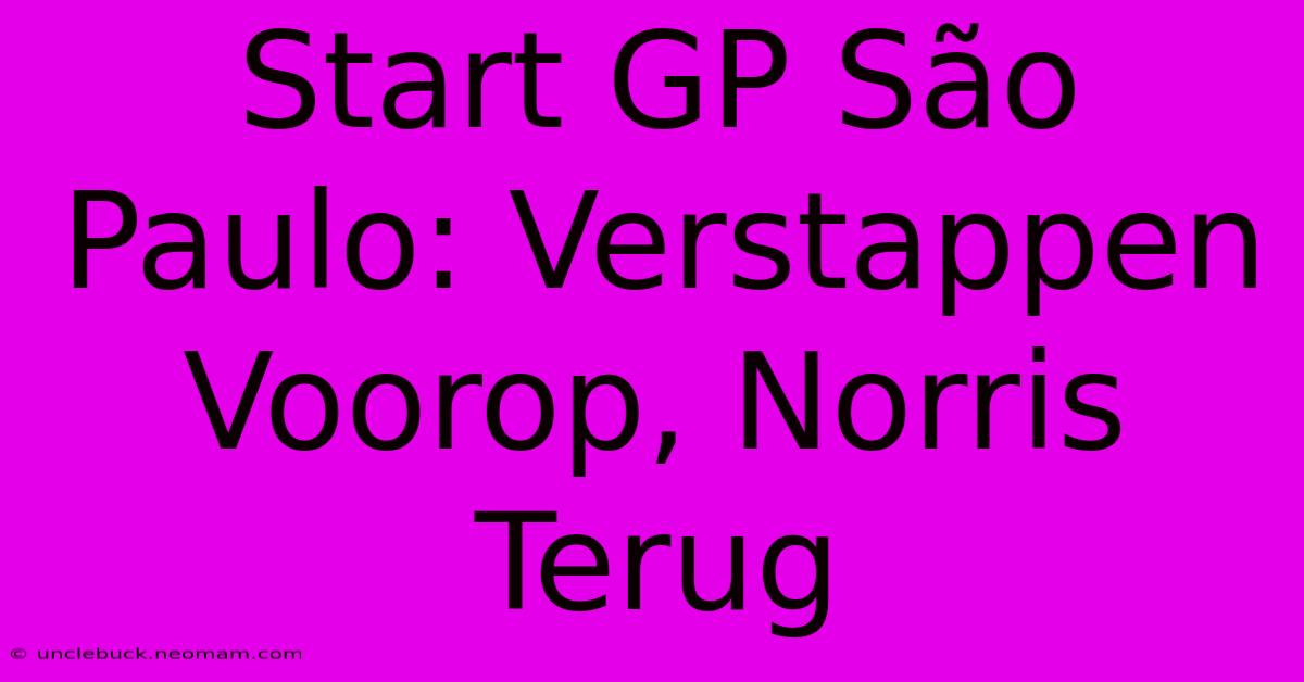 Start GP São Paulo: Verstappen Voorop, Norris Terug